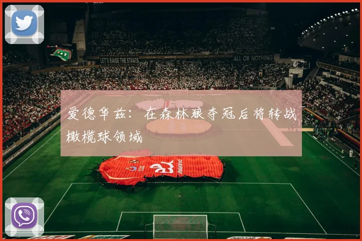 爱德华兹：在森林狼夺冠后将转战橄榄球领域