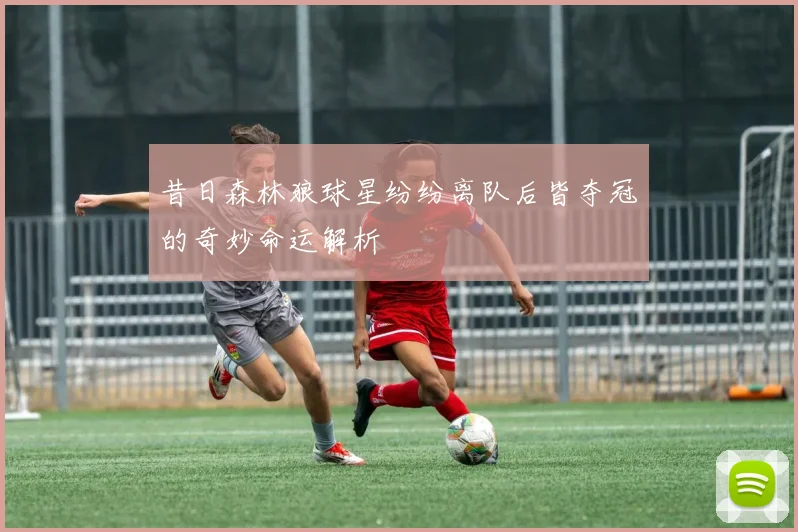昔日森林狼球星纷纷离队后皆夺冠的奇妙命运解析