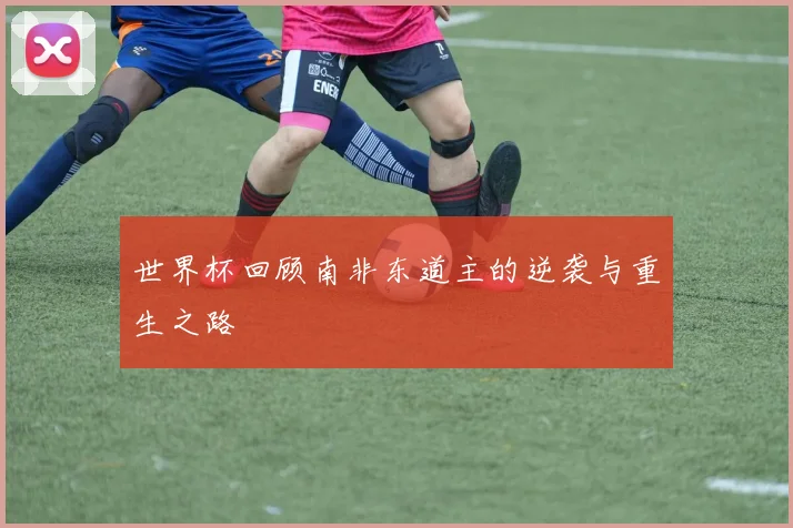 世界杯回顾南非东道主的逆袭与重生之路