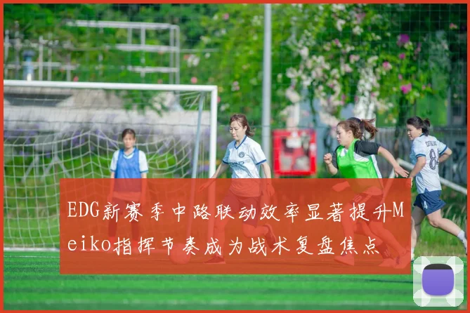 EDG新赛季中路联动效率显著提升Meiko指挥节奏成为战术复盘焦点